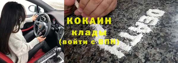 ПСИЛОЦИБИНОВЫЕ ГРИБЫ Аркадак