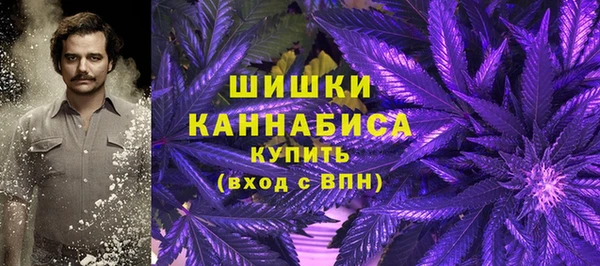 ПСИЛОЦИБИНОВЫЕ ГРИБЫ Аркадак