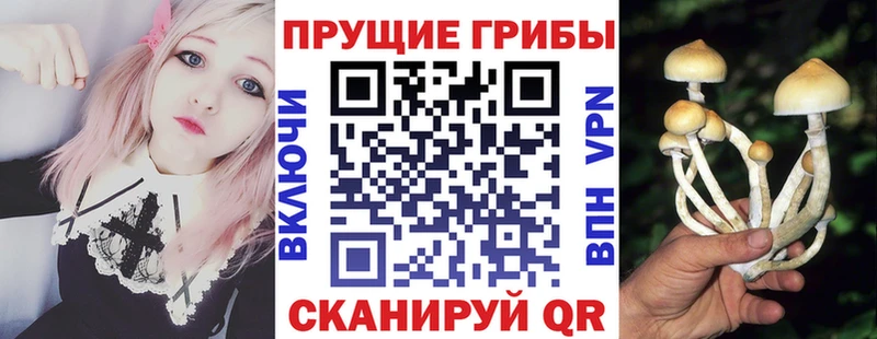 Галлюциногенные грибы ЛСД  Покровск 
