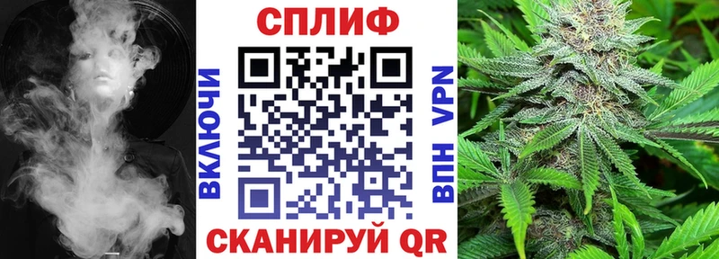 купить   Покровск  Бошки марихуана конопля 